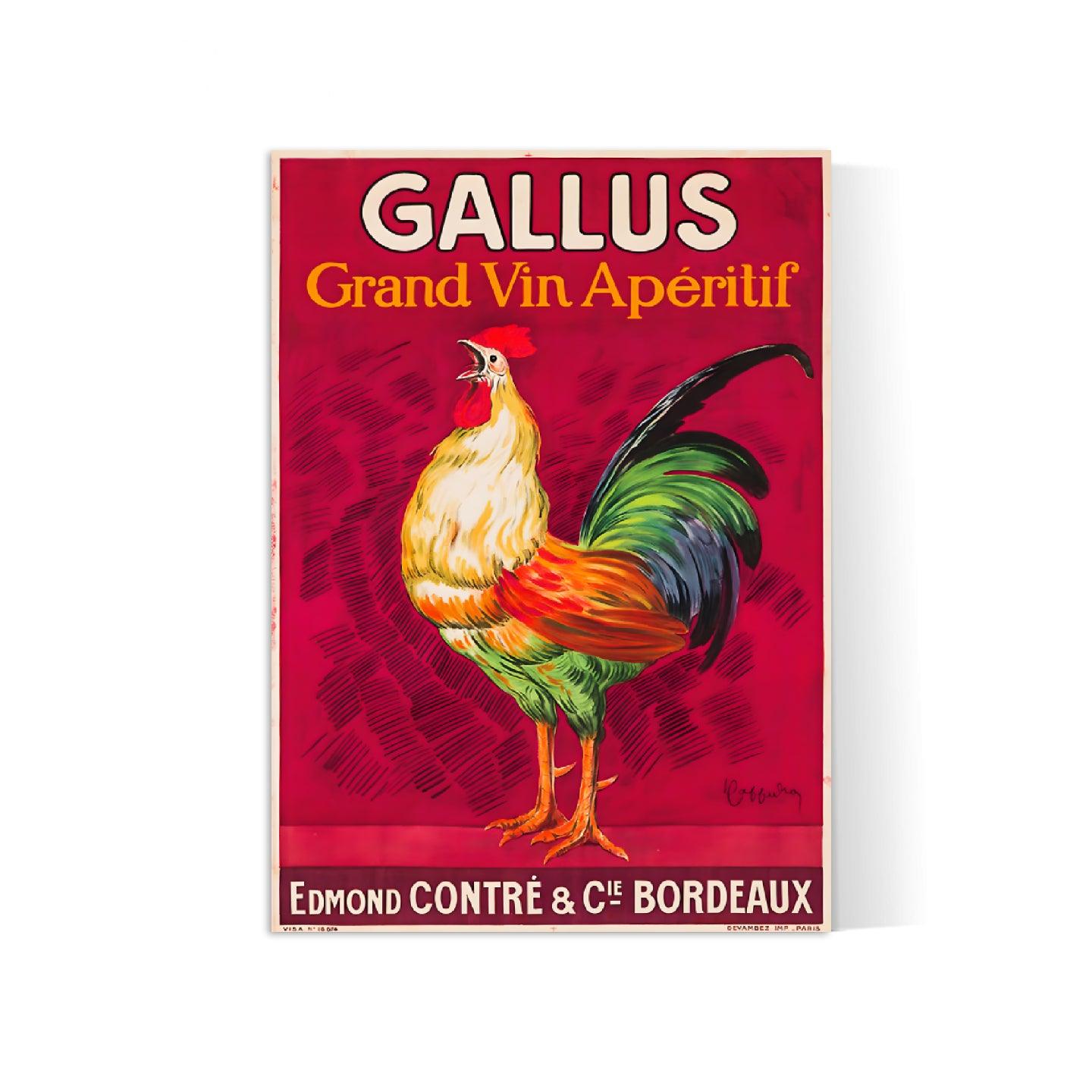 Affiche alcool vintage "Gallus" - Leonetto Cappiello - Haute Définition - papier mat 230gr/m2
