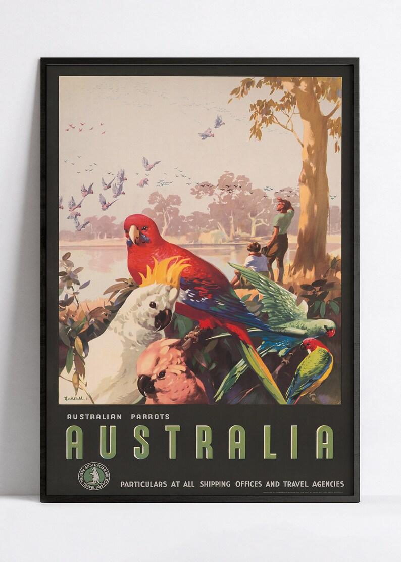 Affiche voyage  "Australia - Parrots" - vintage - Haute Définition - papier mat 230gr/m²